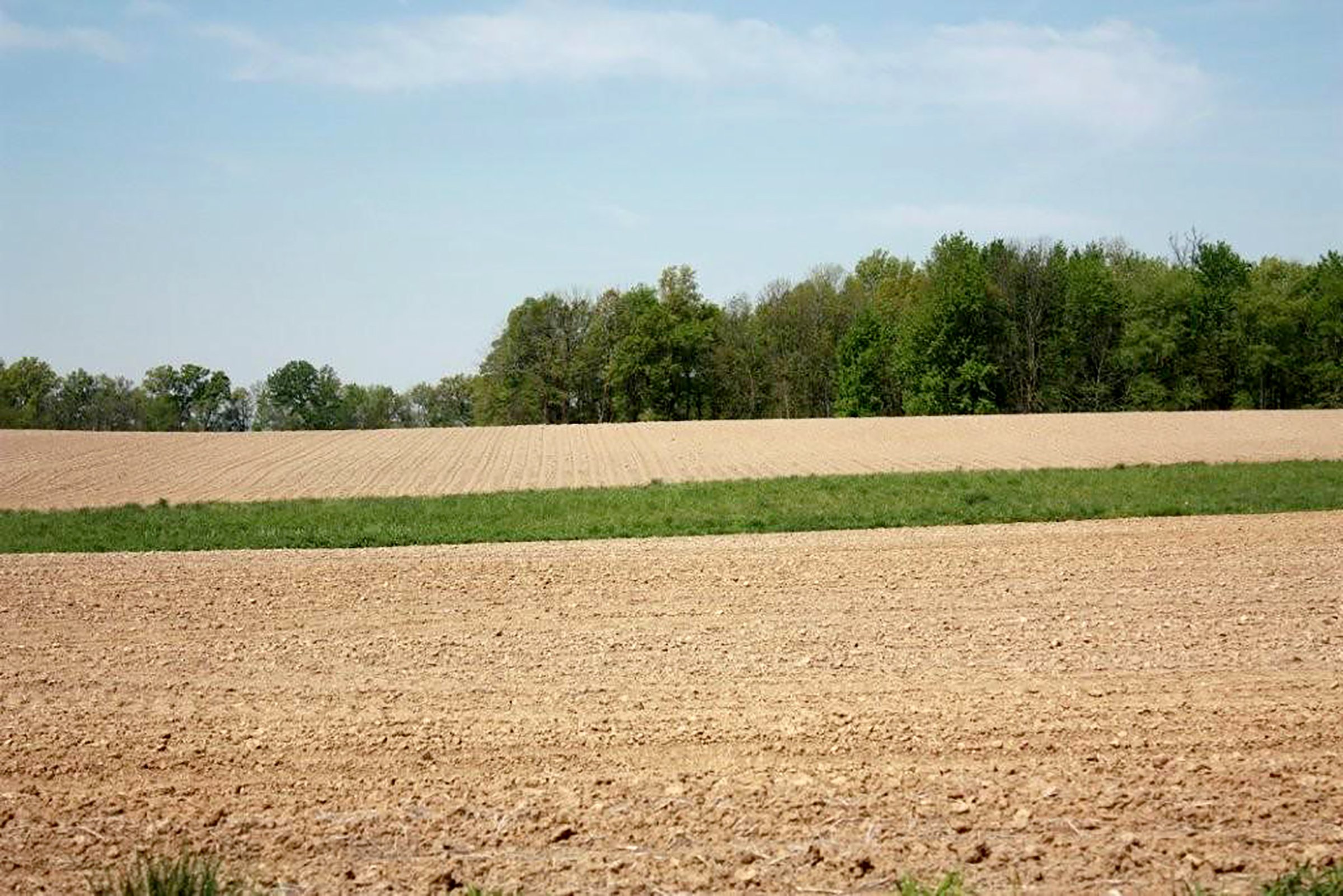 Property photo 7 - REAL ESTATE AUCTION - 126+/- ACRES OFFERED IN 4 TRACTS IN GREENE COUNTY, INDIANA